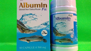 Albumin Apa Ditanggung Oleh BPJS Kesehatan