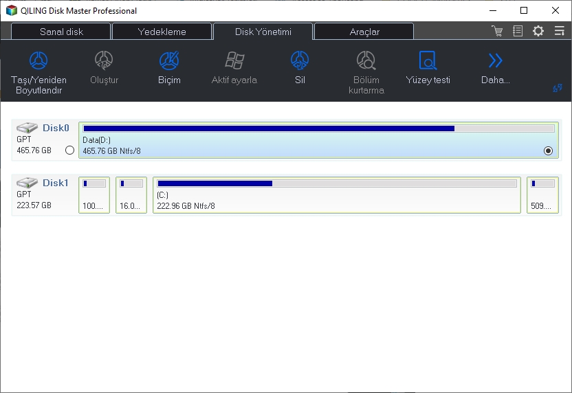 QILING Disk Master Professional