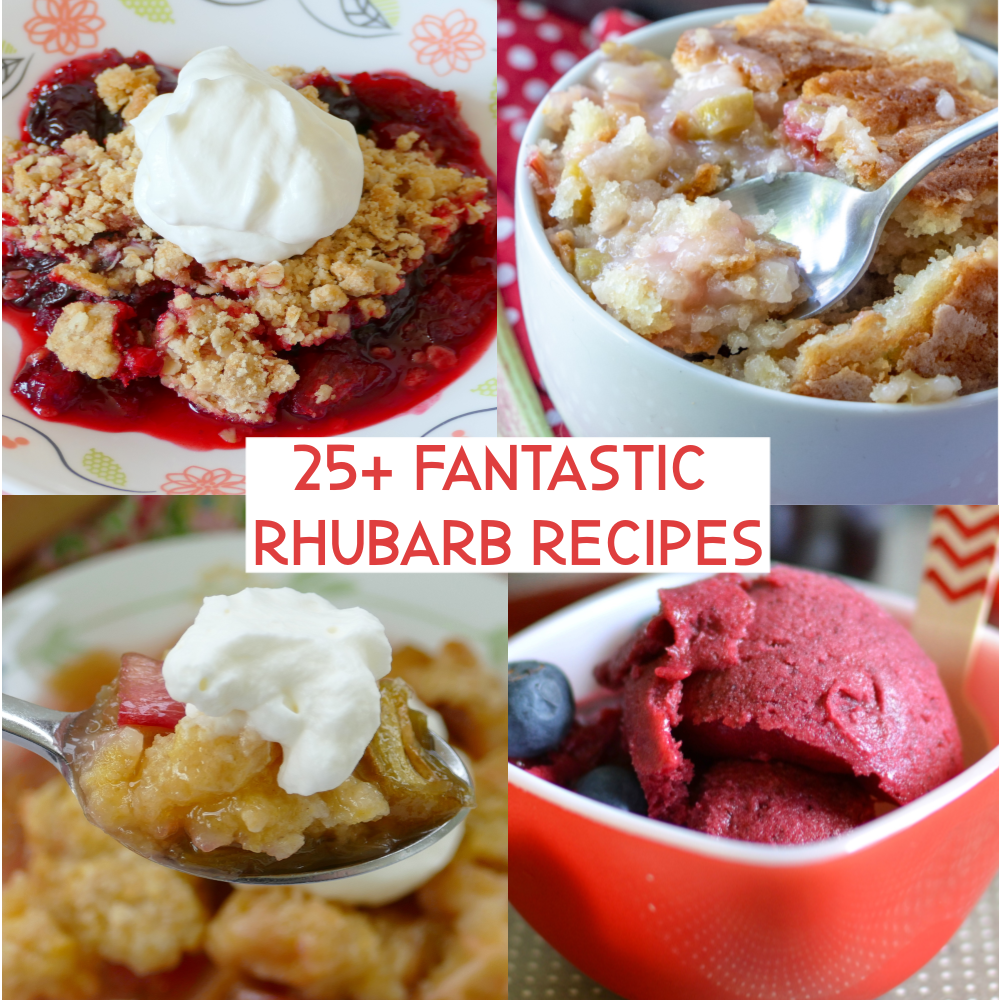 Rhubarb Recipes for using all that springtime rhubarb in your garden! There's a great variety such as cakes, drinks, breakfast, pies, cold treats and more!