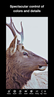 Polarr Photo Editor v5.10.7 Pro APK Polarr Photo Editor v5.10.7 Pro APK