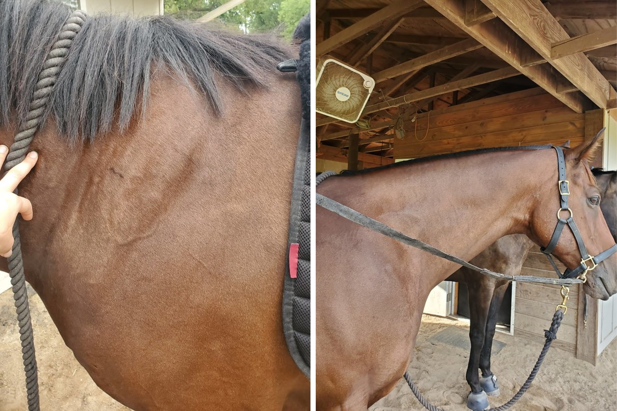 The Terror of Goals (or, how I'm currently stressing out)