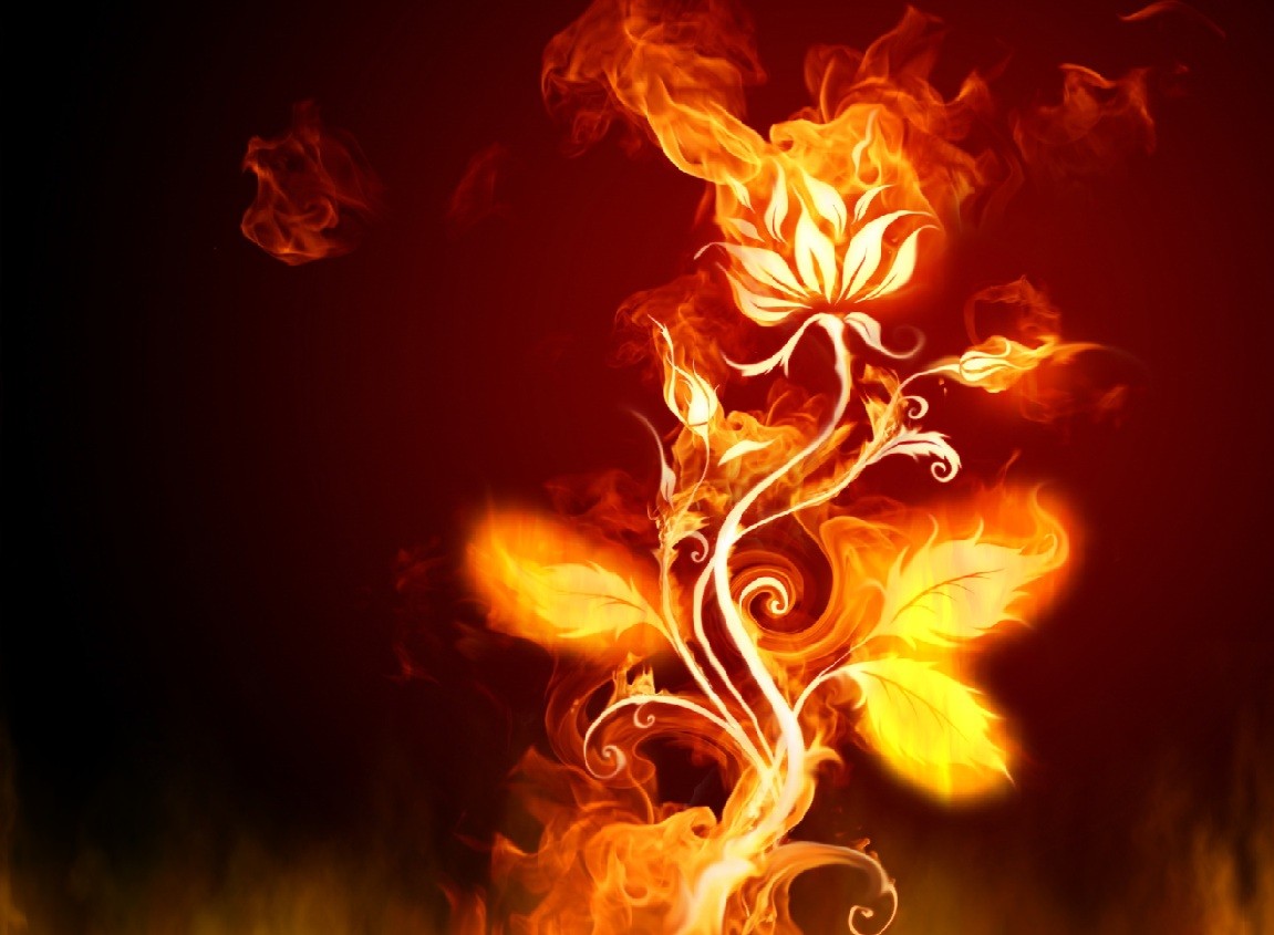 Fire Imdad IMAZES: Fire Images