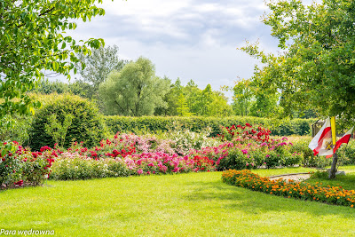 Powsin ogród botaniczny PAN krajobraz