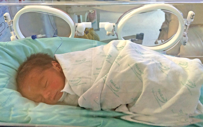 Bebé Reborn prematuro Claudia 38 cm, Carrinhos de licença