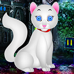 G4K-White-Kitten-Escape-Game-Image.png