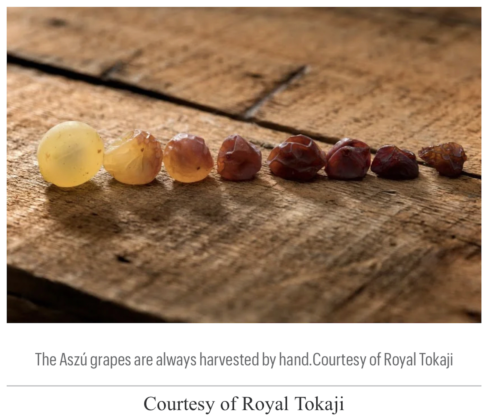 EnoViti The Most Expensive Wine