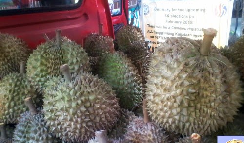 Mysterious Fruit Called Durian