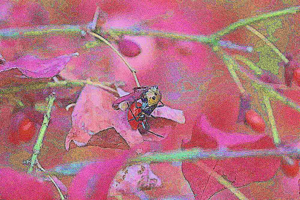 예산 덕숭산 수덕사 예산 덕숭산 수덕사