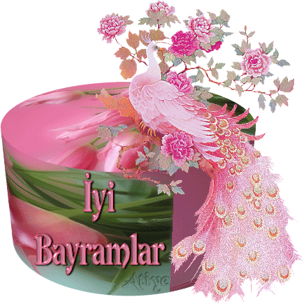 resimli sozler mesajlar