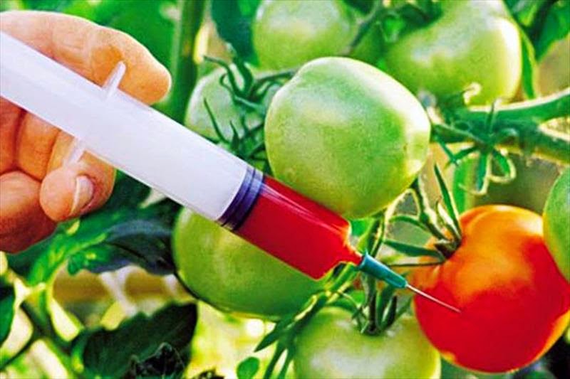 Para Entender La Utilidad De Las