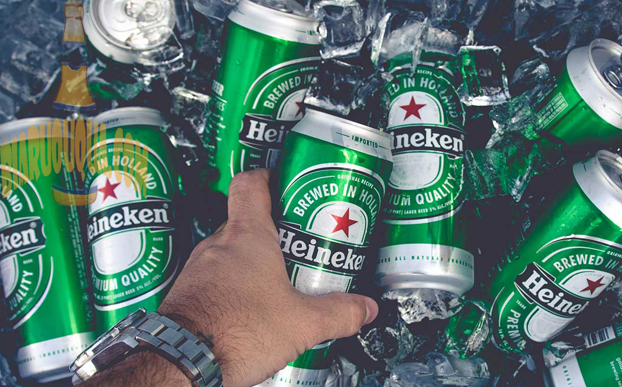 Bia Heineken Có Mấy Loại? Bao Nhiêu Độ?