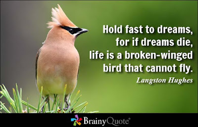 Birds Quotes