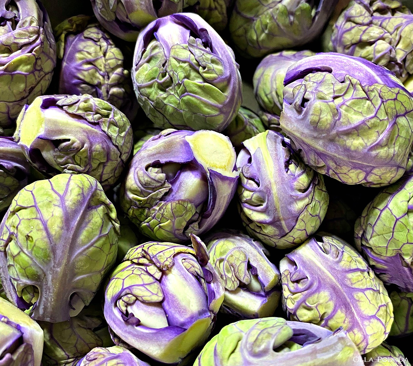 OllaPodrida Brussels Sprouts Fritters with Lemon Sour Cream