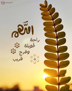 احلى صور