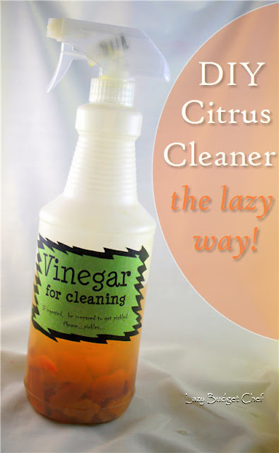 How to Make Easy Citrus Cleaner