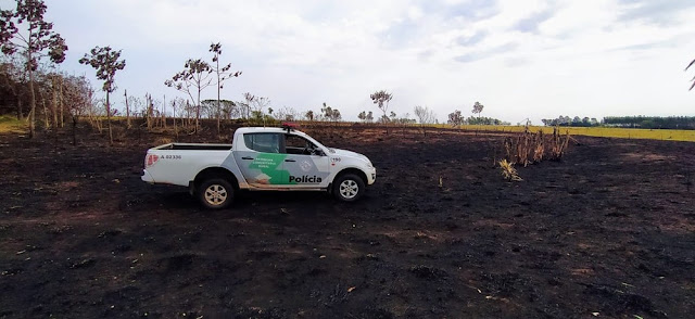 Proprietária de sítio é autuada em quase R$ 20 mil por uso de fogo em área agropastoril e queimada de 34 árvores Proprietária de sítio é autuada em quase R$ 20 mil por uso de fogo em área agropastoril e queimada de 34 árvores