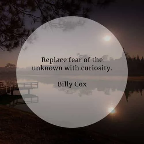 Curiosity quotes that'll help you achieve great things