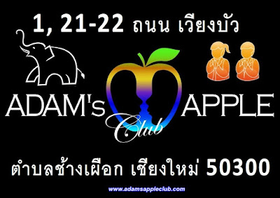 Location Gay Bar Chiang Mai Adams Apple Club Thailand