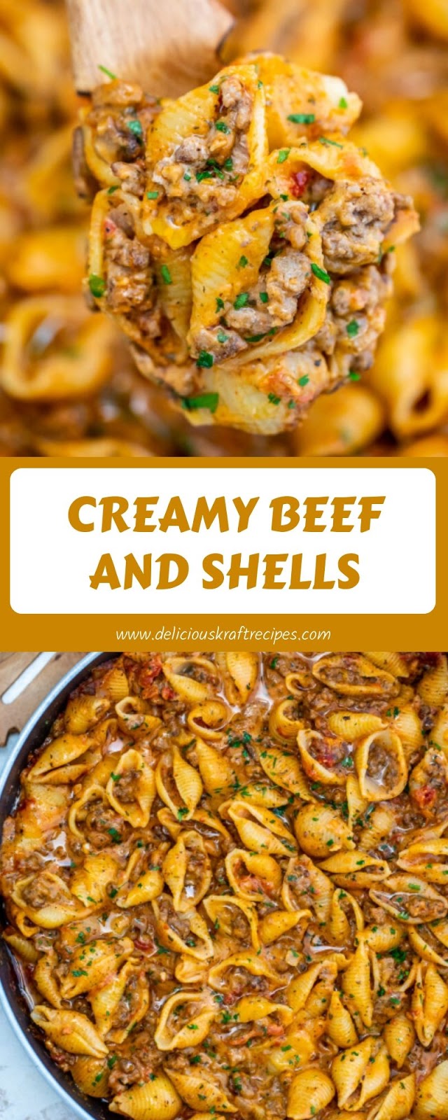 CREAMY BEEF AND SHELLS