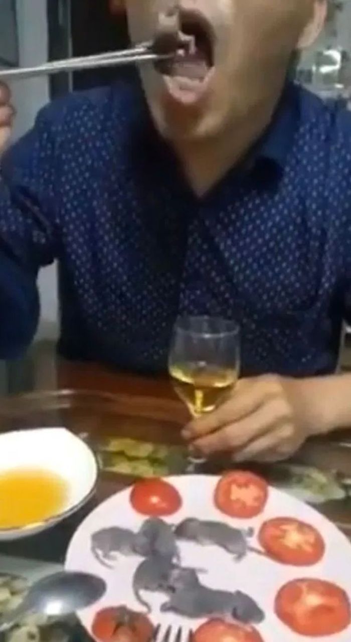 китаец ест живых. китаец ест живых. сашими из лягушки. корейцы едят живых осьминогов. жуки тайланда.