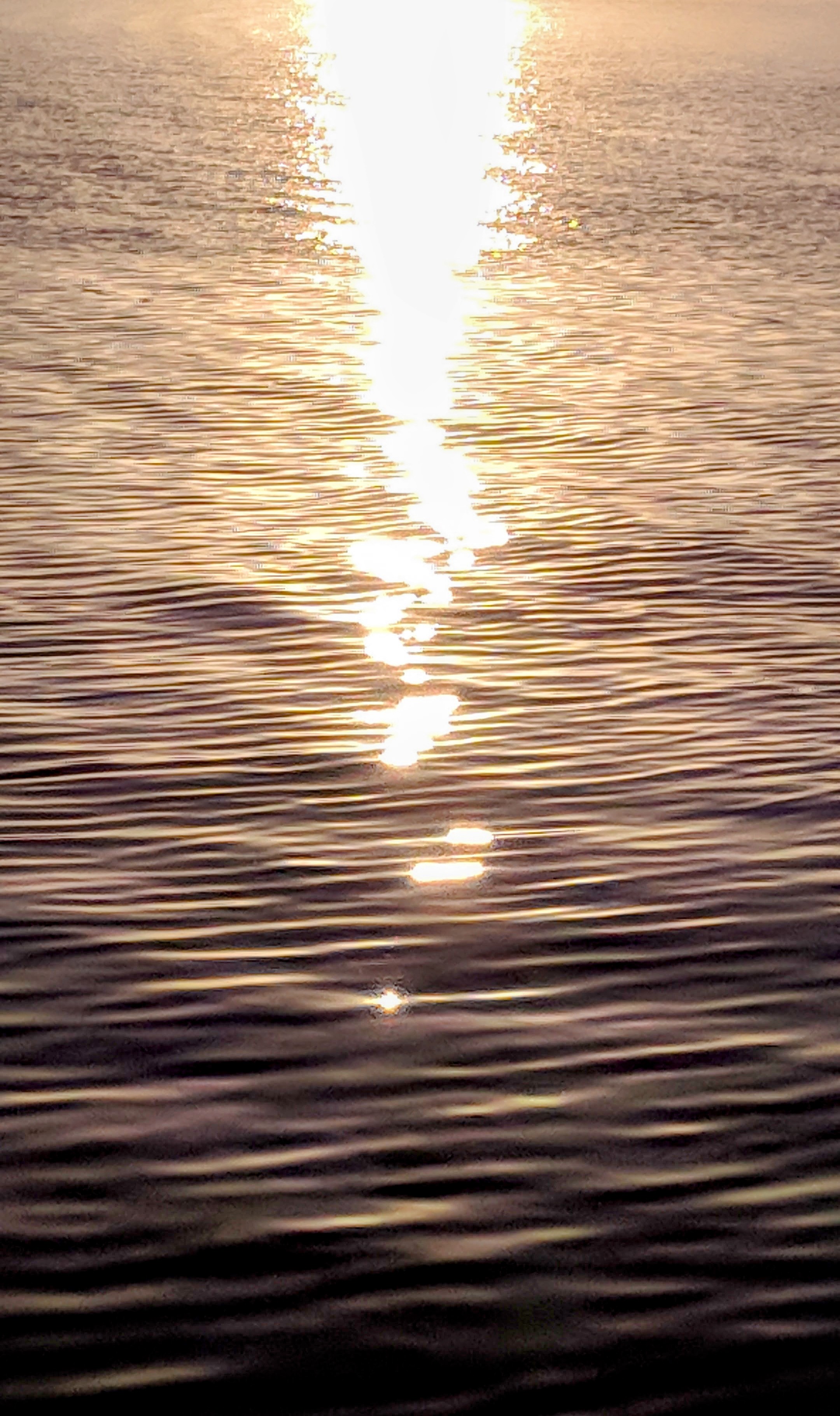 Sunset reflection on a calm Wellington harbour.