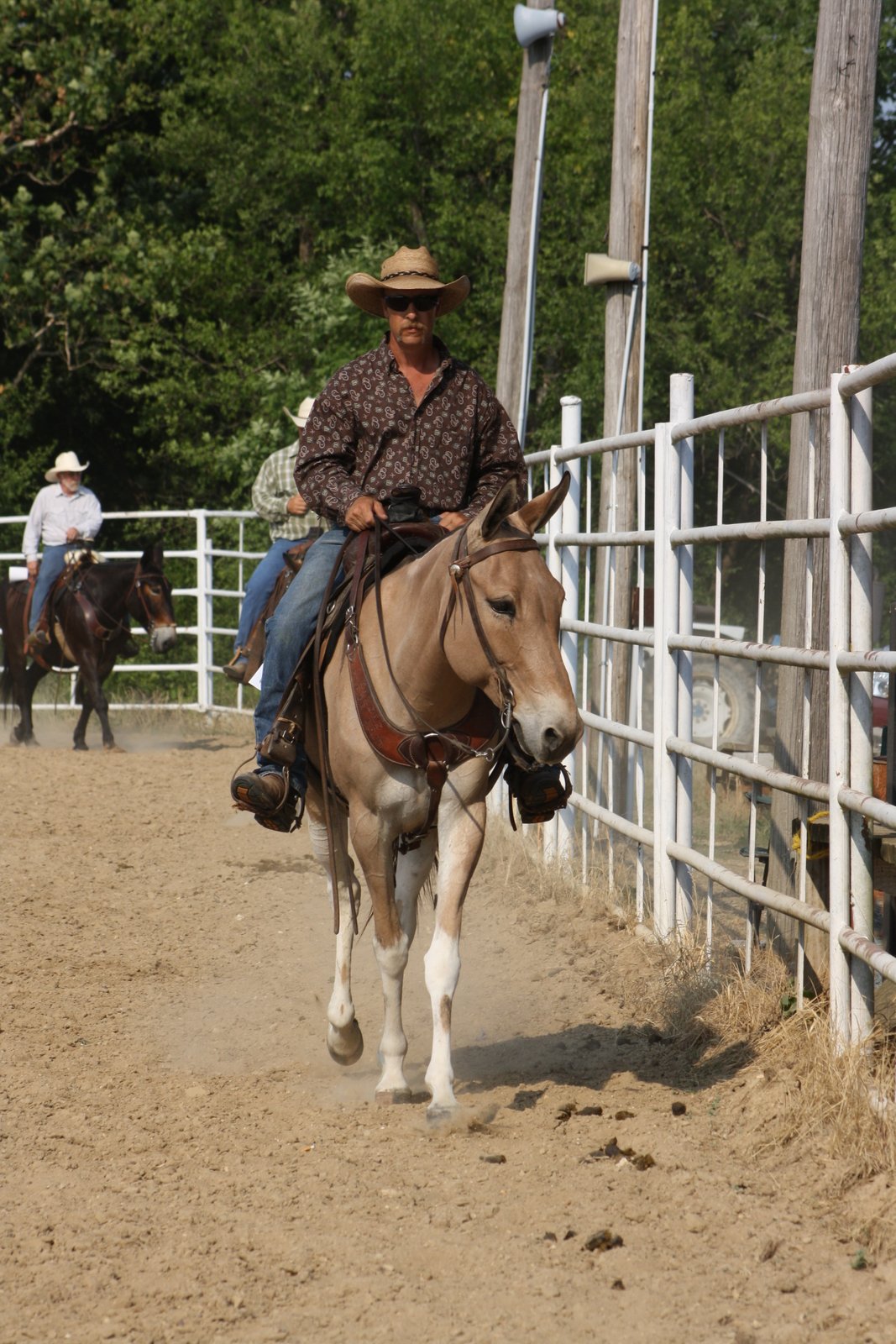 PairADice Mules: Western Pleasure
