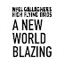 Noel Gallagher’s High Flying Birds : A New World Blazing | Online Exhibition | Coming Soon