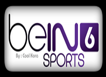http://showsport-tv.com/update/bein6.html
