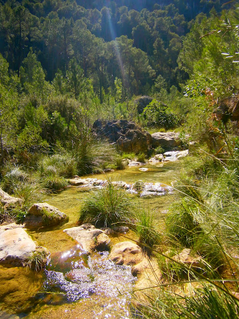 El río Fraile, en Bicorp. Autor: Miguel Alejandro Castillo Moya. El río Fraile, en Bicorp. Autor: Miguel Alejandro Castillo Moya.