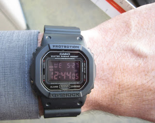 Jual Jam Tangan Casio G Shock: 5600 SERIES : DW 5600 MS 1
