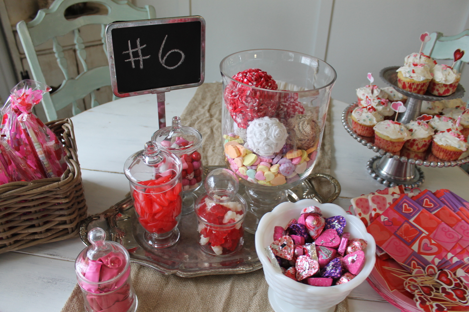 a-love-that-never-dies-nova-s-6th-birthday