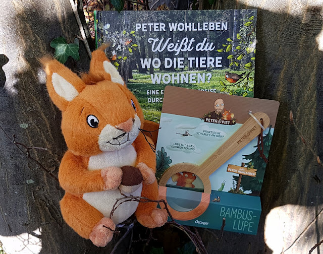 Im Wald unterwegs: "Weißt Du, wo die Tiere wohnen?" Eichhörnchen Piet gibt es auch als Kuscheltier.