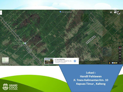 Investasi Kavling Produktif Grand Coco Village - Kavling Kebun Kelapa Investasi Kavling Produktif Grand Coco Village - Kavling Pohon Kelapa