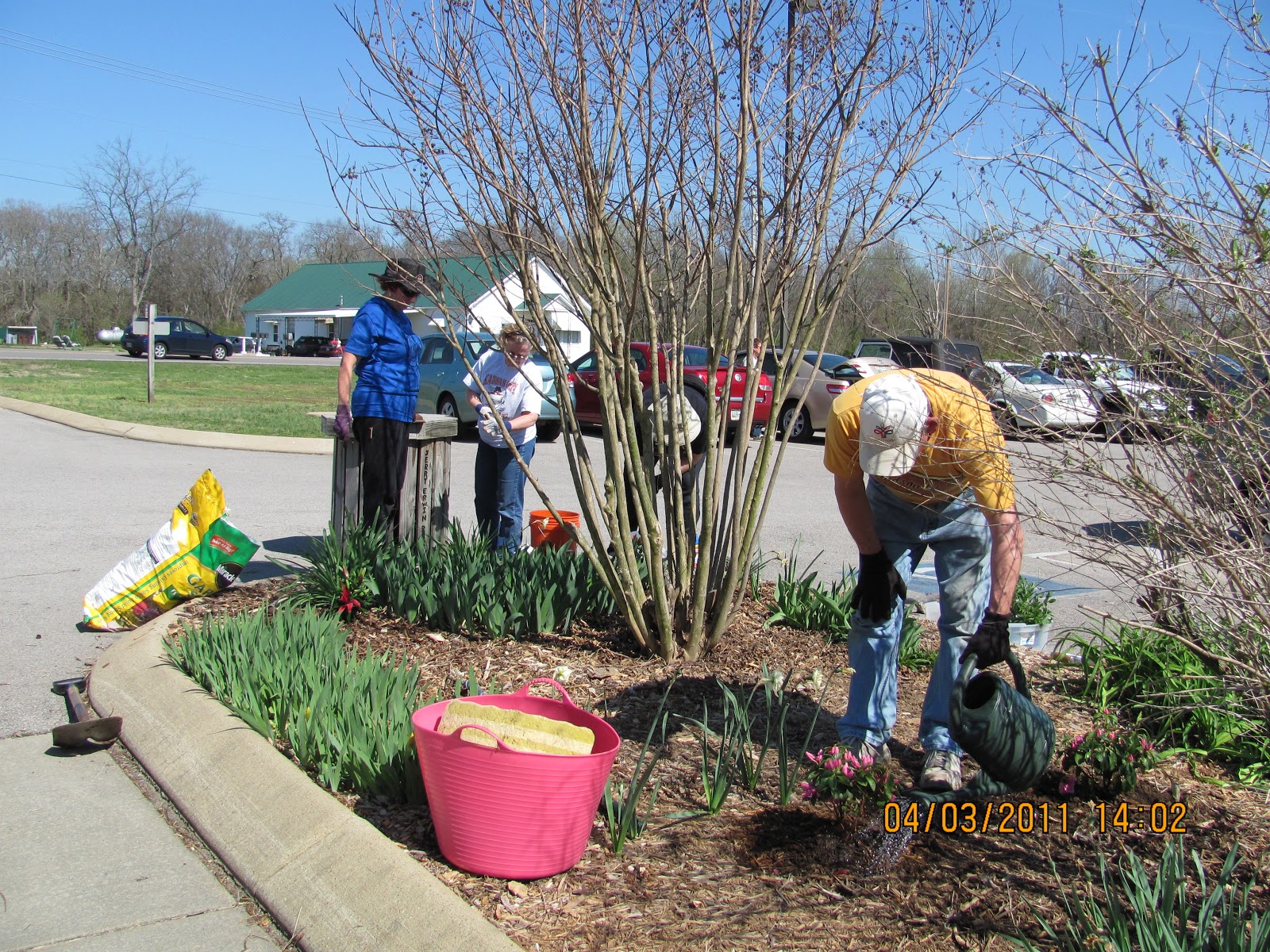 Spring Hill Tn Garden Club The Spring Hill Garden Club Work Day