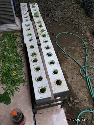 Konsika Kulon Progo 2019