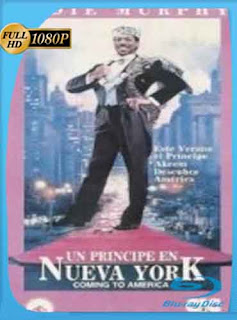 Un príncipe en Nueva York (1988) HD [1080p] Latino [GoogleDrive] SXGO