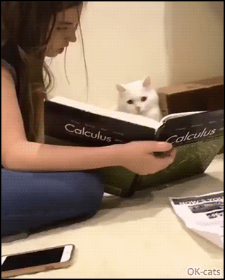 Funny cat GIF • Cat tries hard to read a book about calculus during quarantine haha Funny cat GIF • Cat tries hard to read a book about calculus during quarantine haha