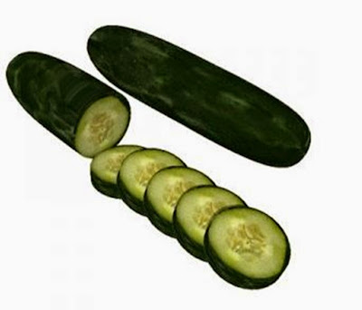ridge cucumber
