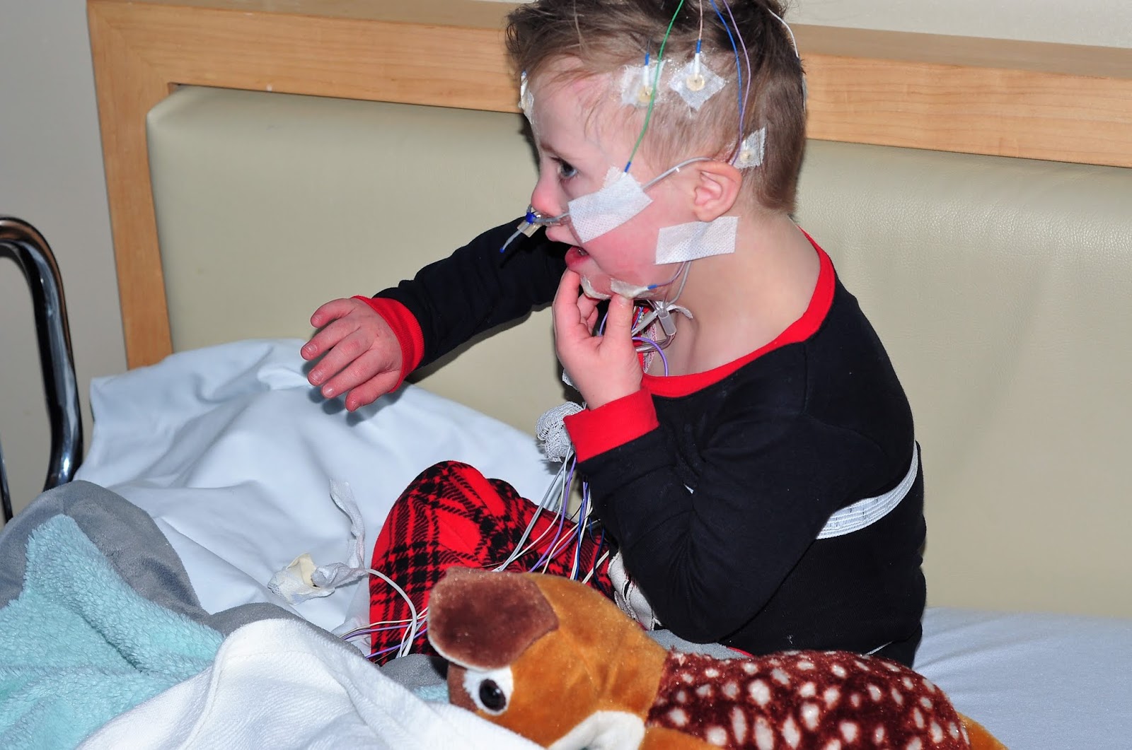 Our Five Ring Circus Sleep Studies 101 The Complete Guide To Your