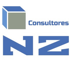 consultoresnz.com