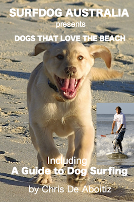 Dogs-That-Love-the-Beach-SurfDog-Australia