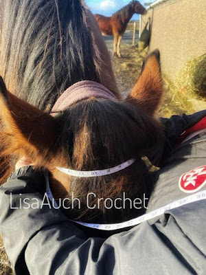 How to crochet a hat for a horse-horse hat crochet pattern