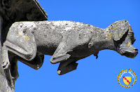 Toul - Cathédrale Saint-Etienne : Gargouille du cloître