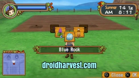 How to Get Blue Rock in Harvest Moon: Hero of Leaf Valley