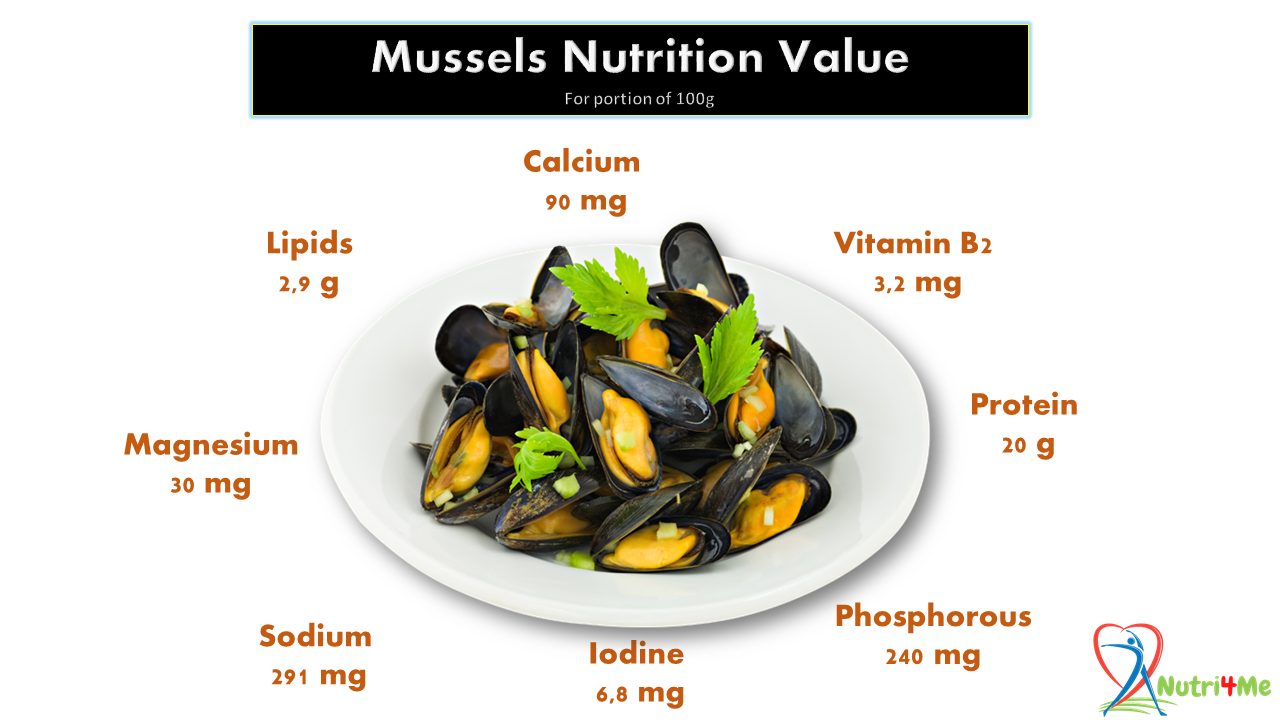Mussels Everything you need to know about these molluscs and their
