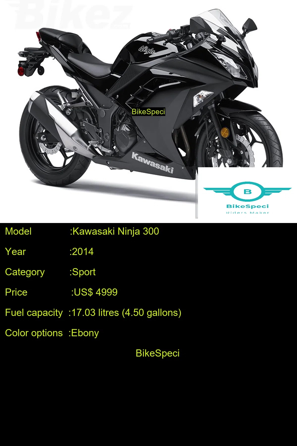 Kawasaki Ninja 300 | Price, Photos, Millage, Speed, Colours etc
