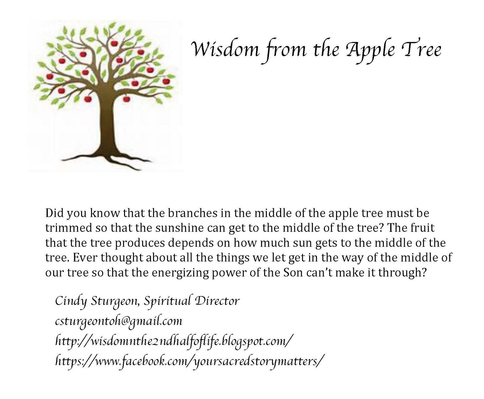 климакс леса. The changing season. Agriculture worksheets. Much trees перевод. Tree was cut down.