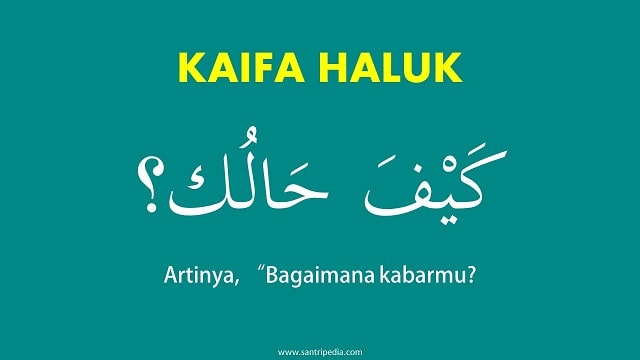 Kaifa Haluk Artinya dan Jawabannya Apa Kabar Bahasa Arab