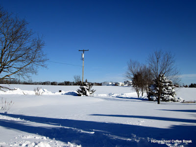 A Snow Day PhotoJournal on Homeschool Coffee Break @ kympossibleblog.blogspot.com