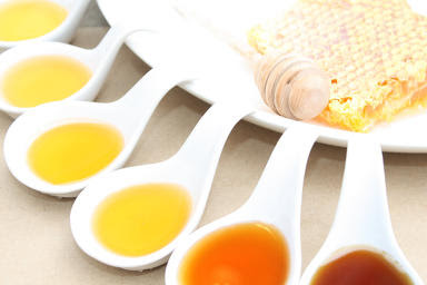 Γευσιγνωσία μελιού Honey tasting